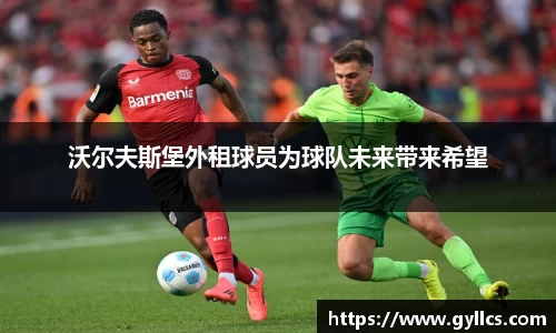 BB贝博登录入口