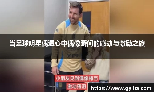 BB贝博登录入口