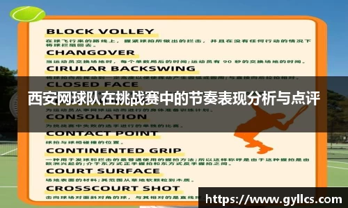 BB贝博登录入口