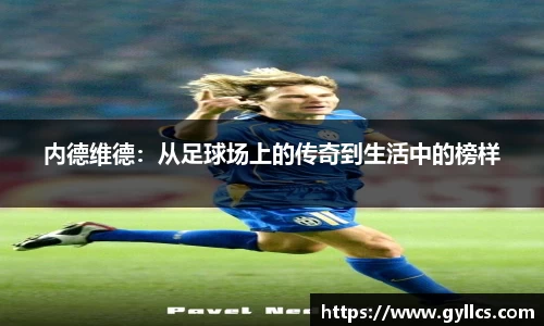 BB贝博登录入口