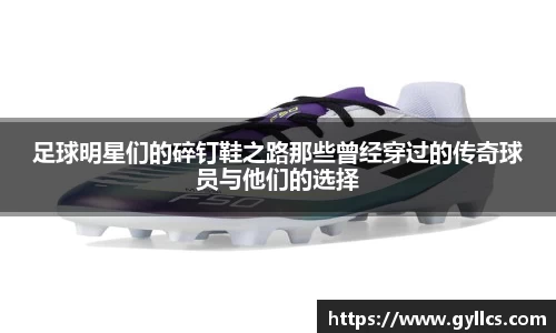 BB贝博登录入口