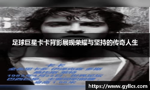 BB贝博登录入口